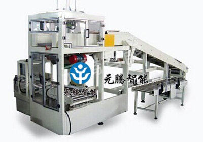 袋裝產(chǎn)品裝箱機(jī)