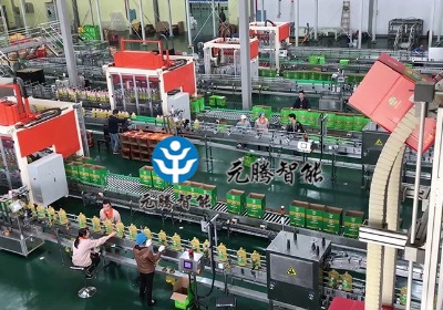 分揀輸送系統(tǒng)