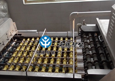 蛋類(lèi)清洗輸送設(shè)備