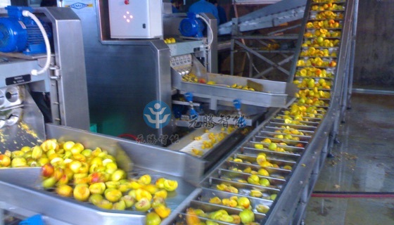 果蔬清洗機(jī)