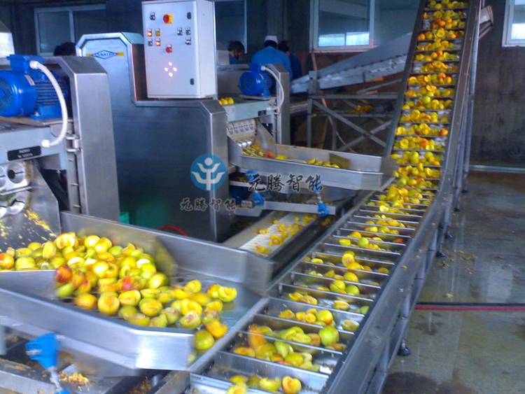 果蔬生產(chǎn)線
