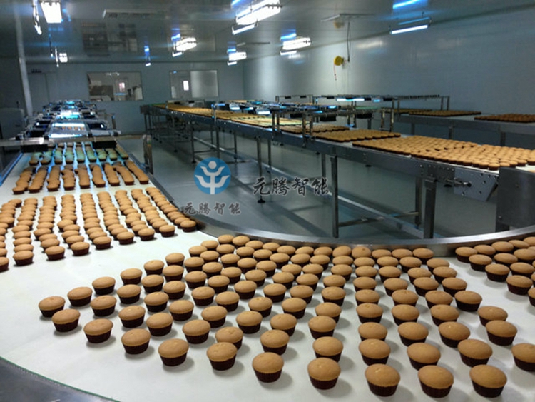 蛋撻輸送線(xiàn)